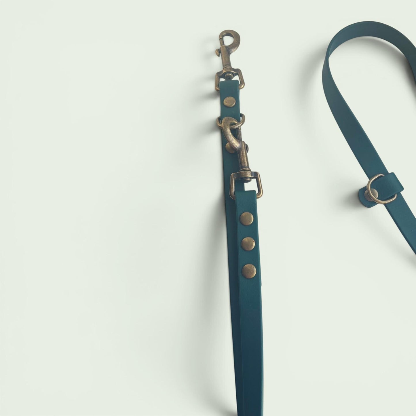 Forest Green Biothane Dog Lead: Classic Lead or 2m Training Lead Waterproof with Antique Brass Hardware