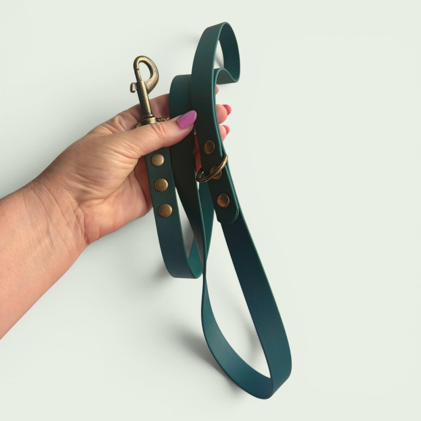Forest Green Biothane Dog Lead: Classic Lead or 2m Training Lead Waterproof with Antique Brass Hardware