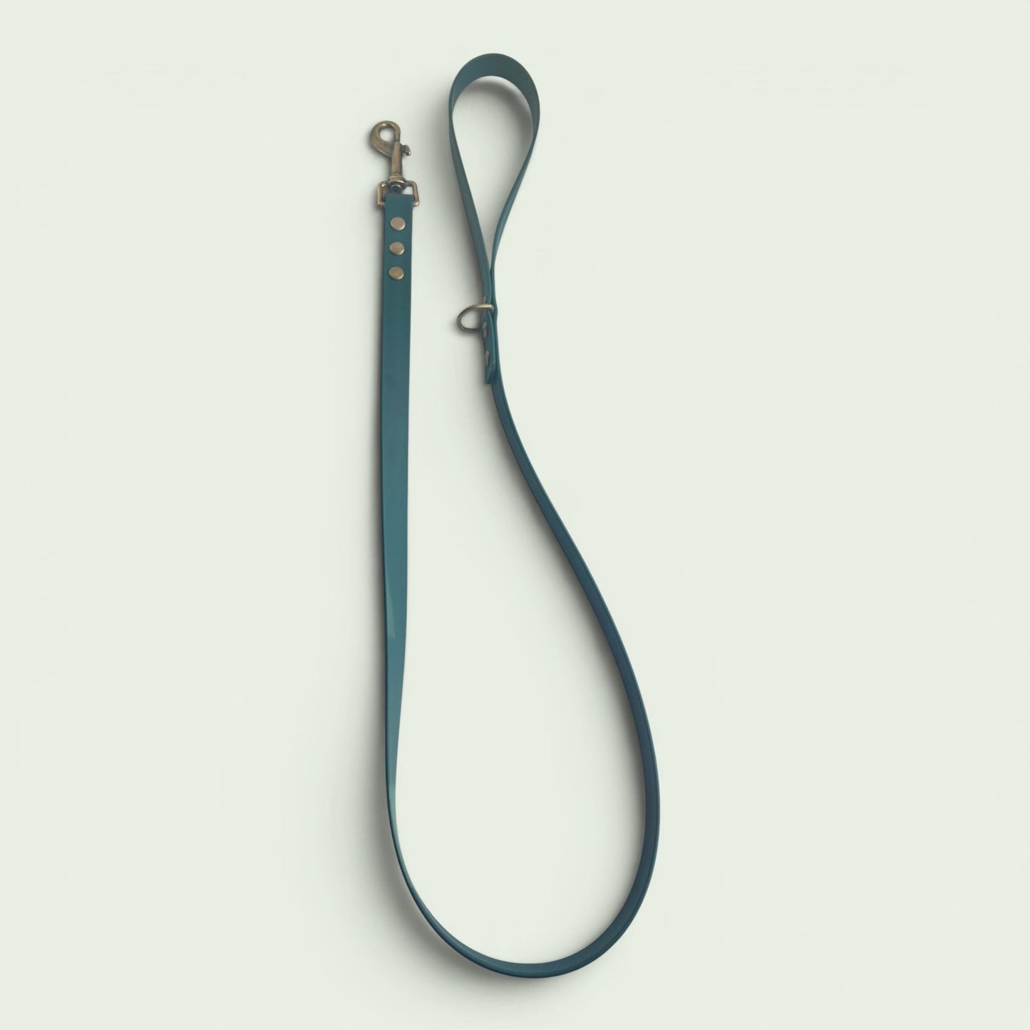 Forest Green Biothane Dog Lead: Classic Lead or 2m Training Lead Waterproof with Antique Brass Hardware