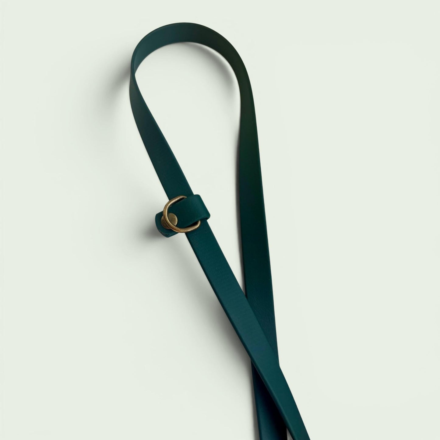 Forest Green Biothane Dog Lead: Classic Lead or 2m Training Lead Waterproof with Antique Brass Hardware