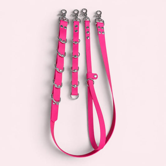 Waterproof Dog Grooming Noose with Extender and Belly Strap: Easy-Clean Webbing Silver Hardware